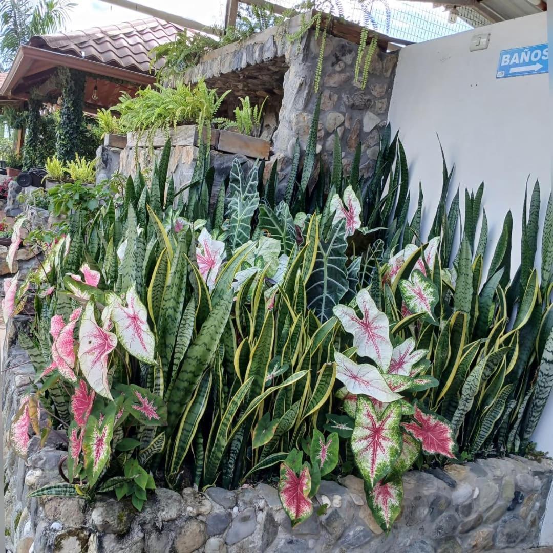 San Isidro  La Quinta De Andres酒店 外观 照片